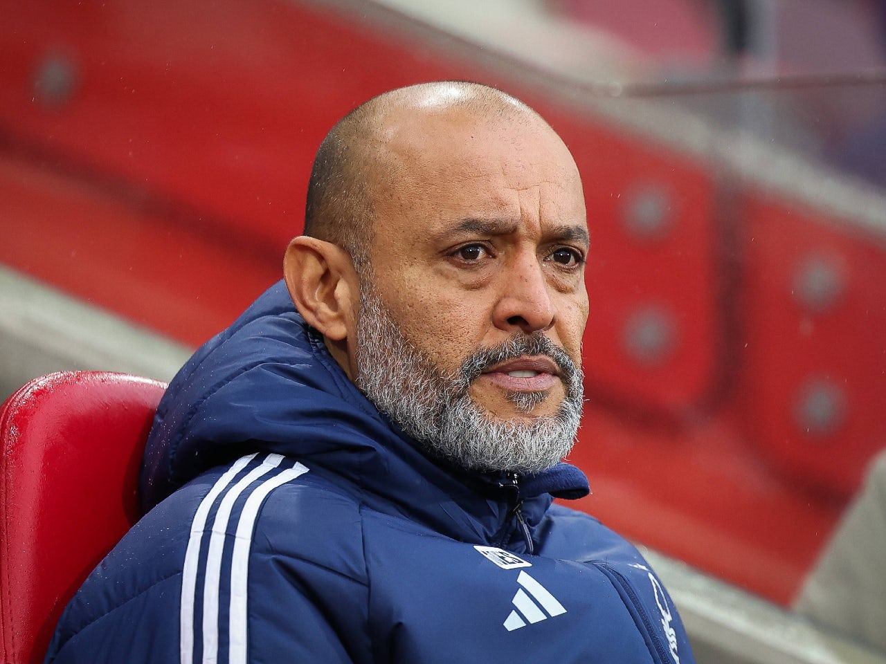Preview: Nottingham Forest vs. Brighton & Hove Albion