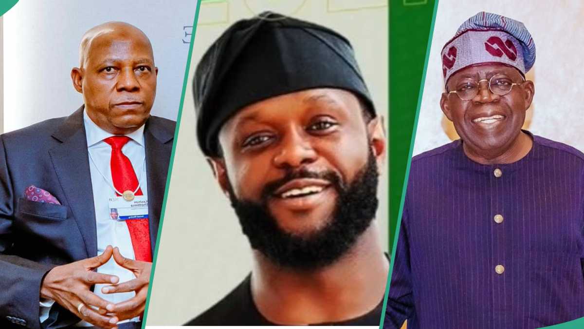 Alleged rift between Shettima, Seyi Tinubu