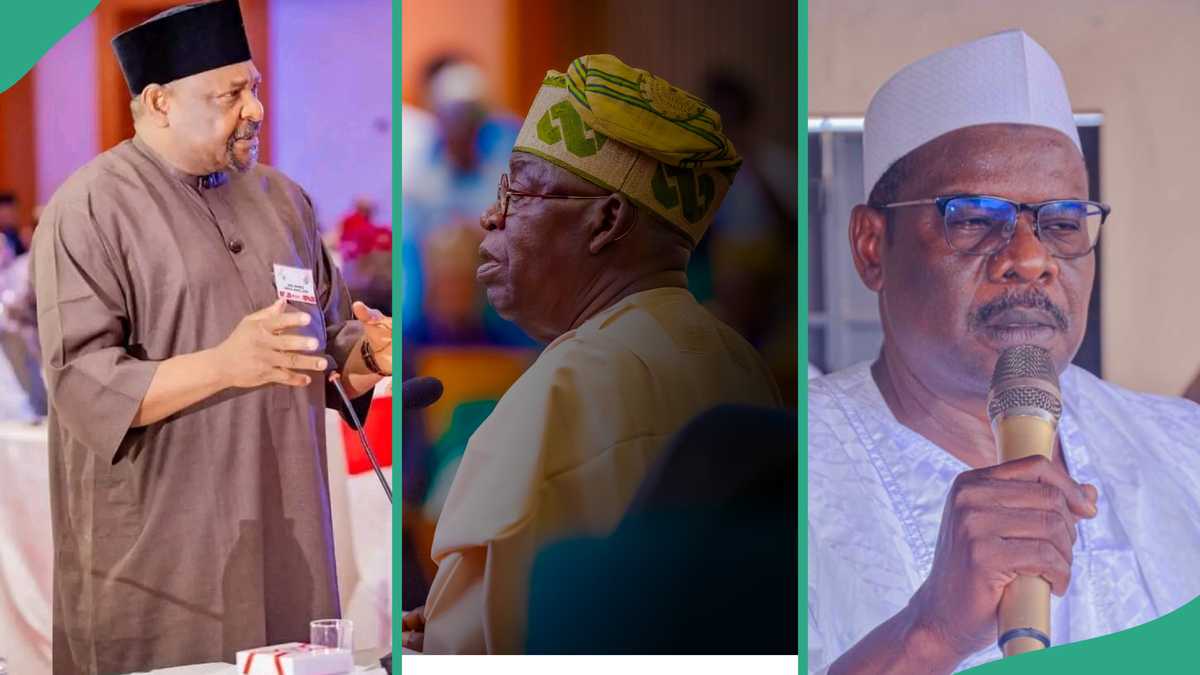 FULL LIST: High-ranking APC, PDP senators Tinubu has tactically dealt with after their criticism