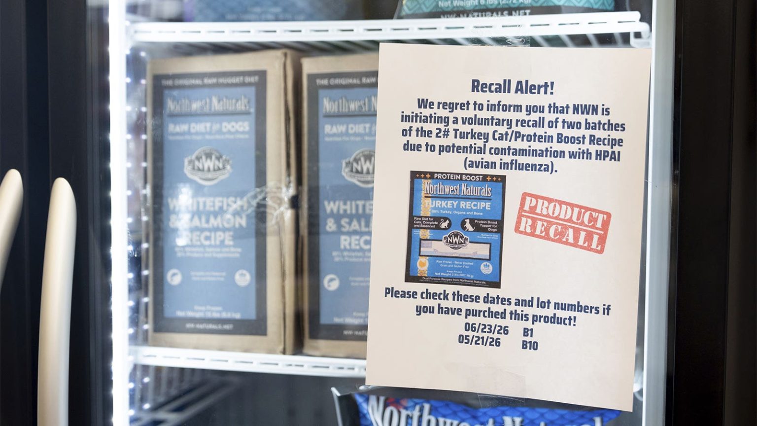 Cats Can Get Sick With Bird Flu. Here’s How to Protect Them.