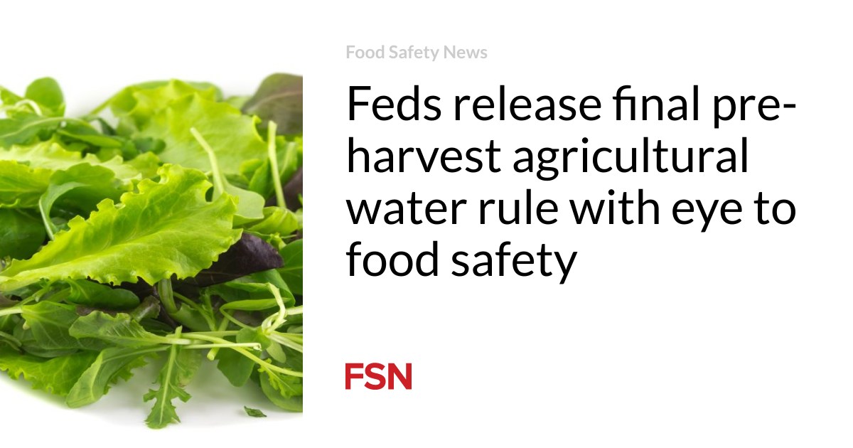 Feds release final pre-harvest agricultural water rule with eye to food safety