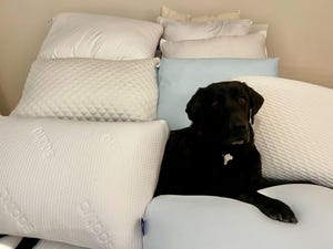 Best Pillows for Back Sleepers in 2025
