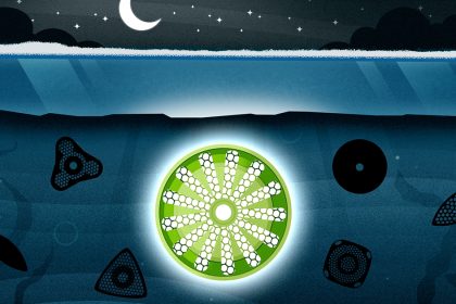 How does life happen when there’s barely any light?