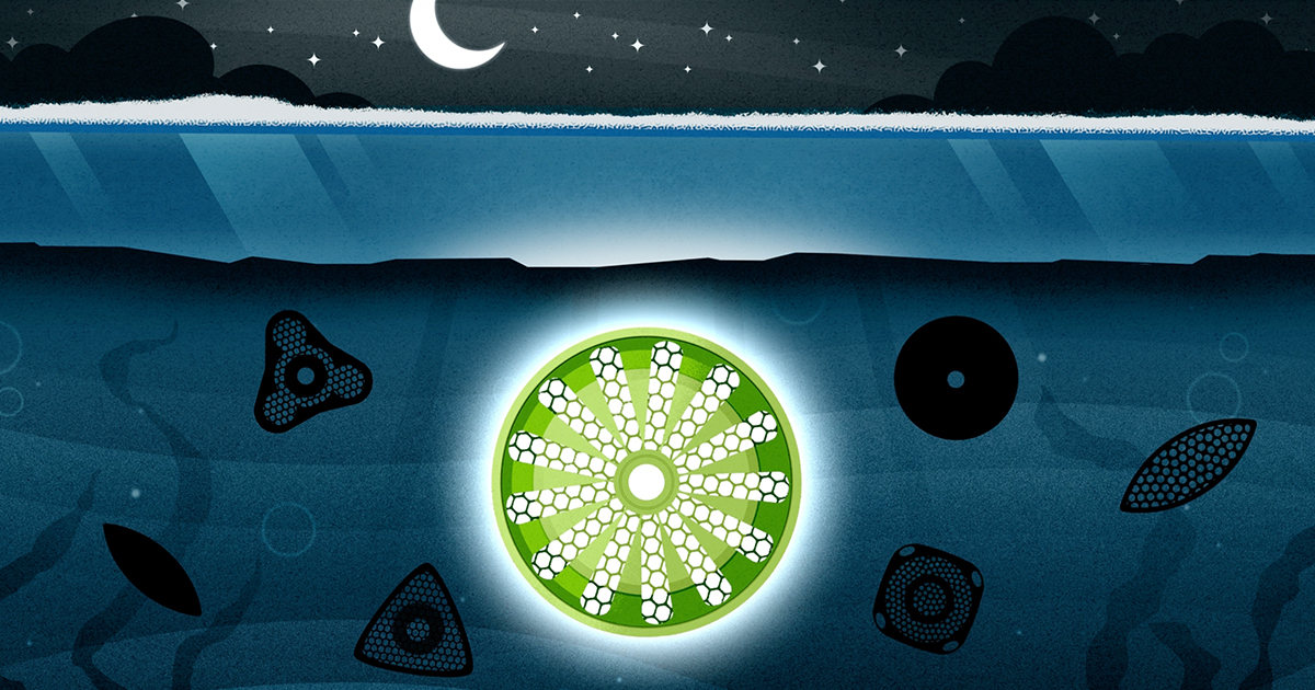 How does life happen when there’s barely any light?