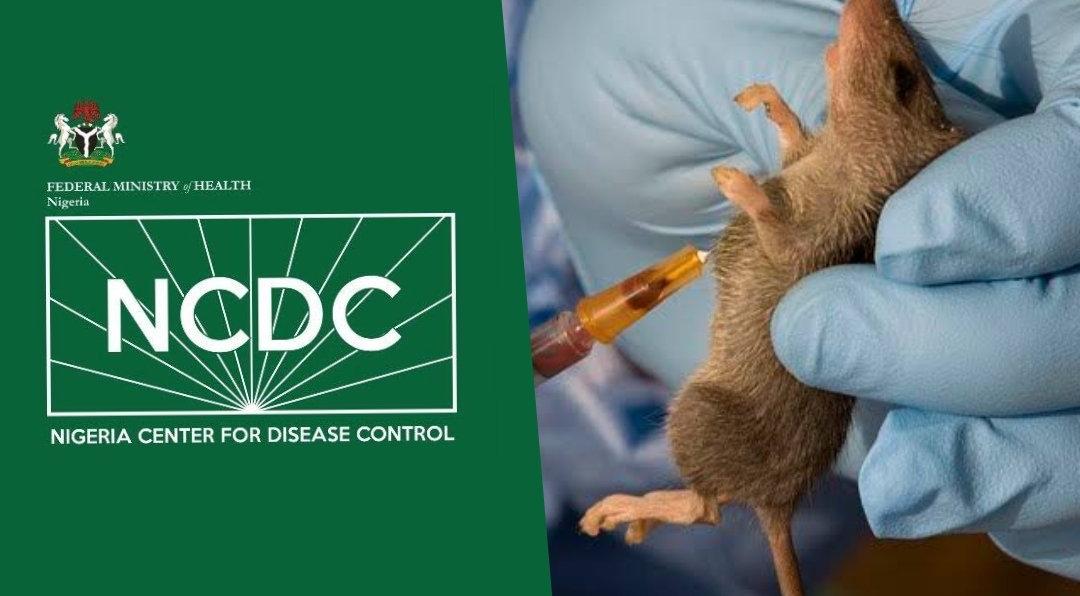 Diphtheria crisis: NCDC reports over 41,000 suspected cases across all states  