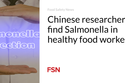 Chinese researchers find Salmonella in healthy food workers