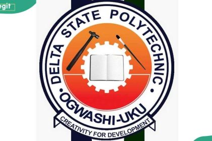 DSPG courses, admission requirements and how to apply