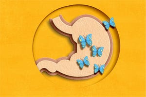 How to Spot an Unhealthy Gut and What to Do About It