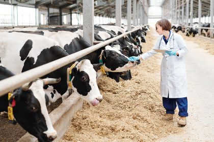 CDC: Asymptomatic Cases of Bird Flu in Humans Are Flying Under the Radar