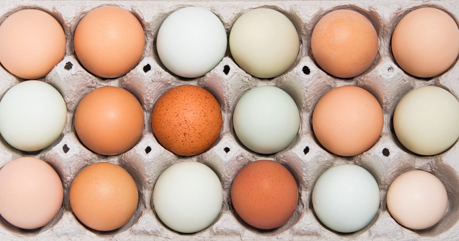 Egg Prices Are Skyrocketing—But Why Are Some Cage-Free Ones Cheaper Than Regular?