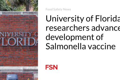 University of Florida researchers advance development of Salmonella vaccine