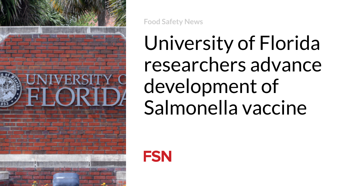 University of Florida researchers advance development of Salmonella vaccine