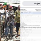Nigeria Spent N58Billion To Re-Integrate ‘Transformed Ex-Militants’ In 2024, N8.8Billion In December Alone