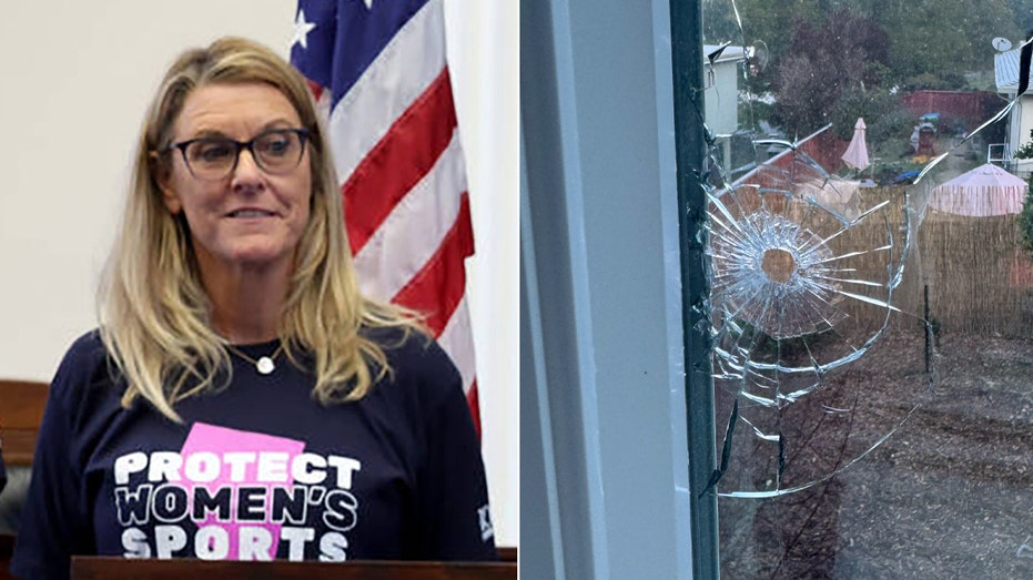 Former SJSU volleyball coach Melissa Batie-Smoose’s home was vandalized with a pellet gun, police say