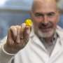 3D-printed, bioresorbable implant could help patients regenerate their own heart valves