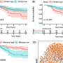 Natural killer cells offer hope for hard-to-treat pediatric sarcomas