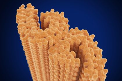 Alzheimer’s Test Detects Tau Pathology Before Tangles Form