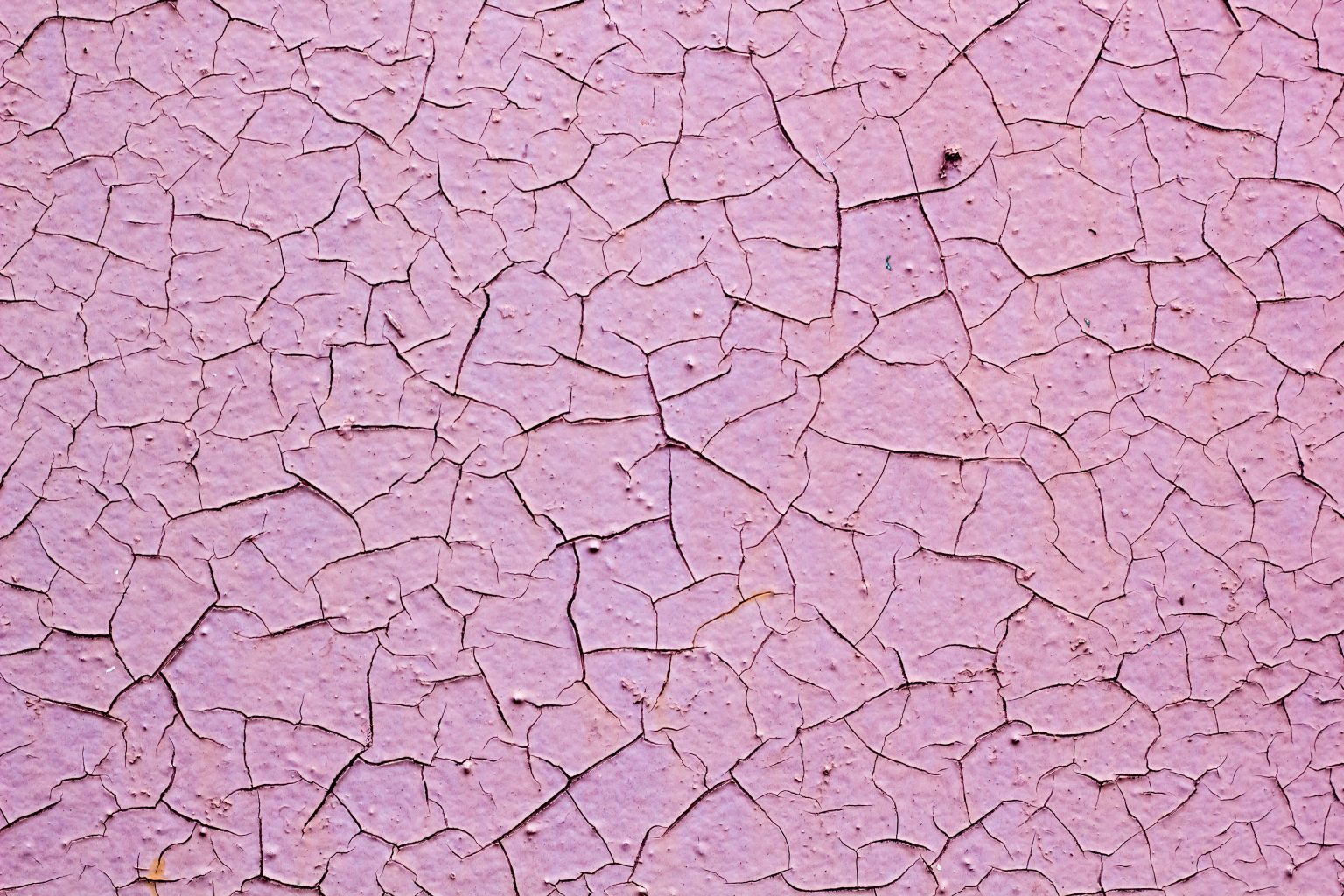 Dry Skin vs. Dehydrated Skin: What’s the Difference?