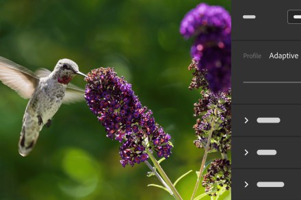 Adobe Lightroom and Camera Raw are getting two new AI editing features
