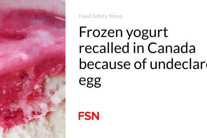Frozen yogurt recalled in Canada because of undeclared egg