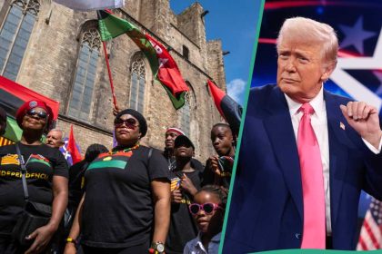 Alleged threat by US President Donald Trump to grant Igbos Biafra