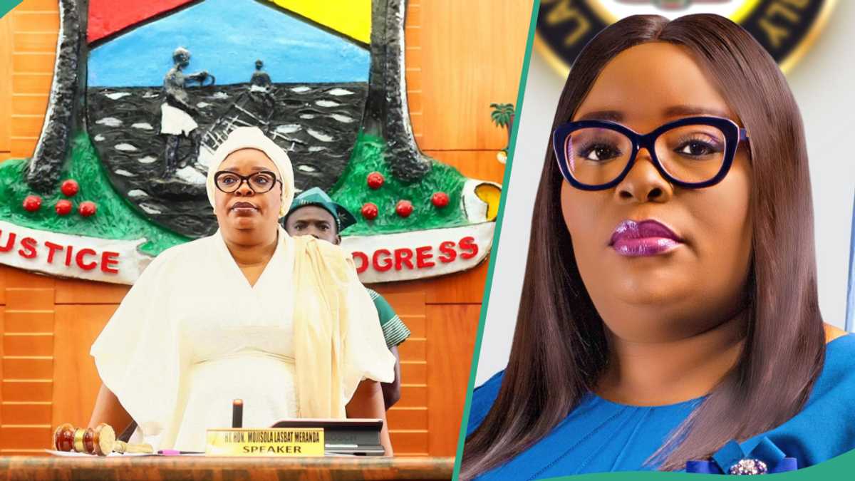 Exclusive: See names of those who may replace Meranda amid power tussle in Lagos APC