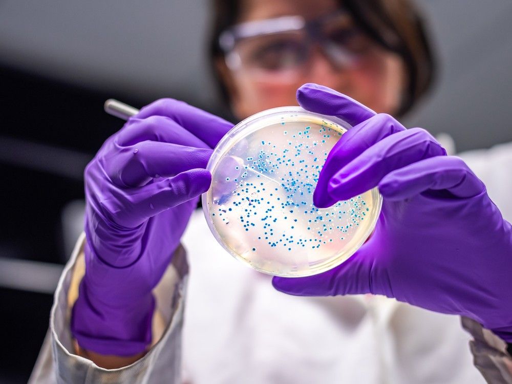 O’Reilly: Federal women scientists badly hampered in the field
