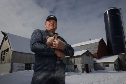 This Ottawa farmer moves 3,000 hogs a year — and can’t sell them next door in Quebec
