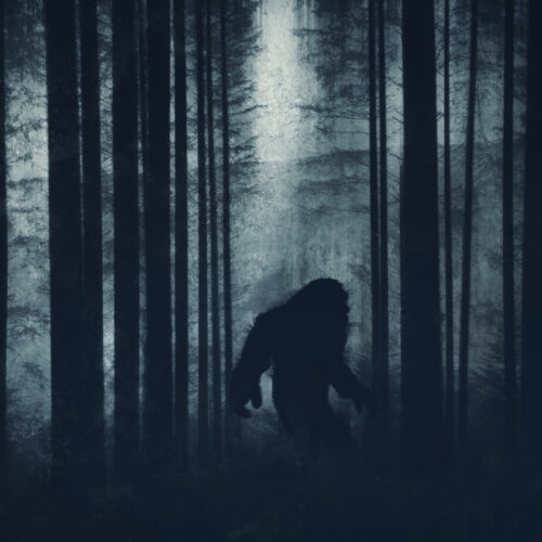 Under new bill, Bigfoot could become California’s “official cryptid”
