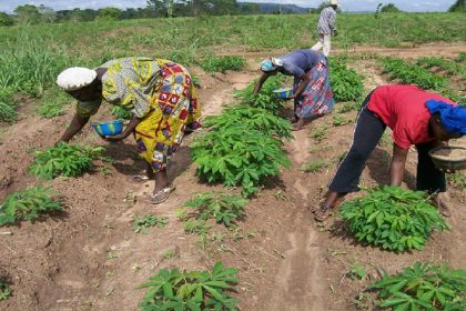 Katsina State spends over N36 billion on fertilizer in 2024 farming season