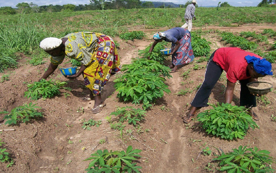 Katsina State spends over N36 billion on fertilizer in 2024 farming season