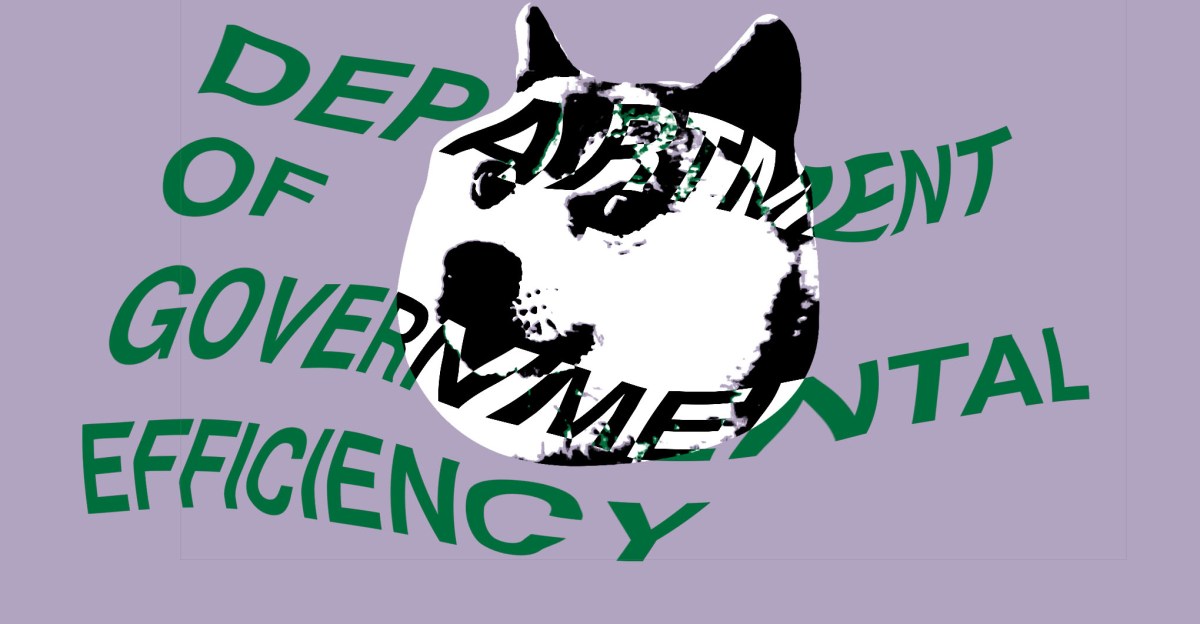 DOGE can keep accessing government data for now, judge rules