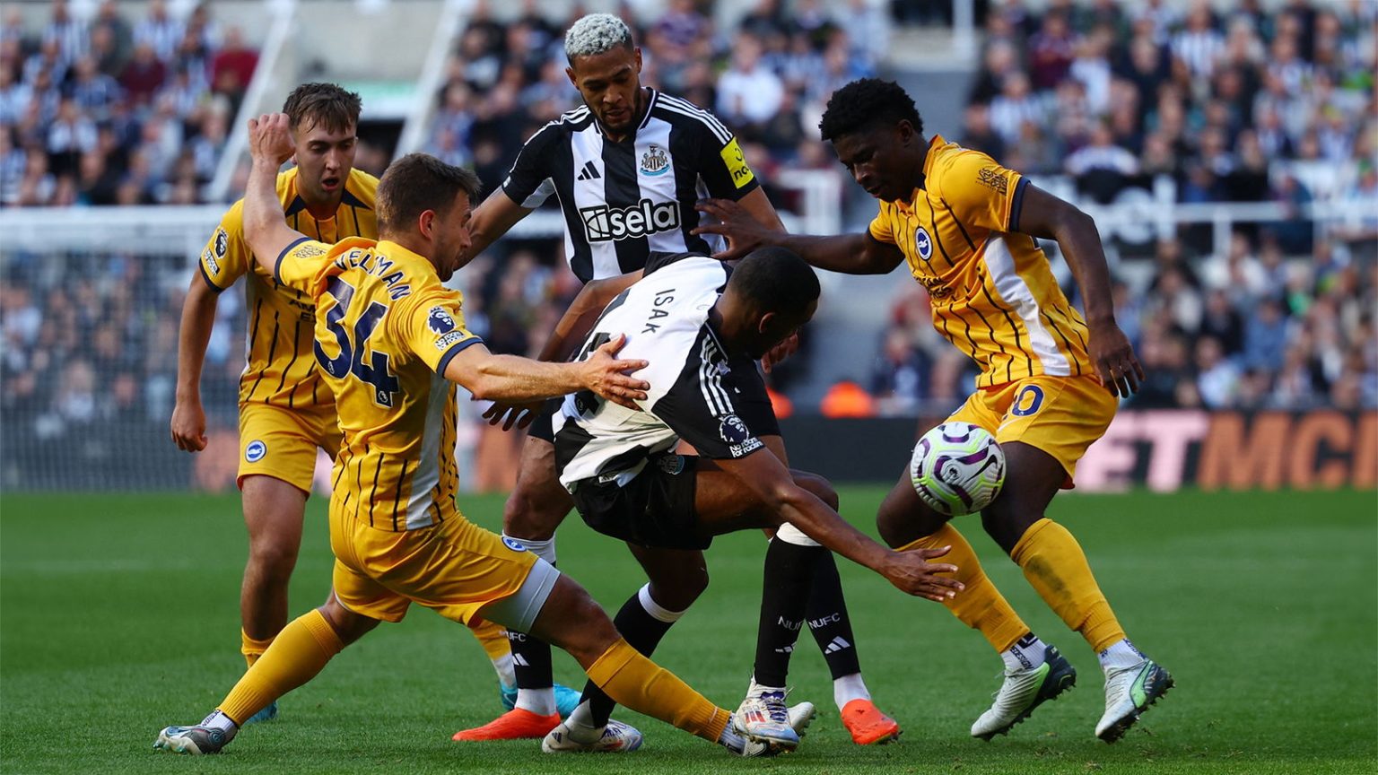 St James’ Park awaits in FA Cup – Newcastle v Brighton preview