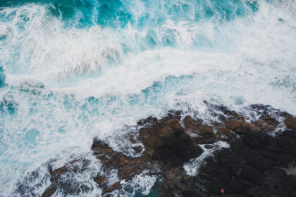 Ant Group hires for development of embodied intelligence humanoid robots