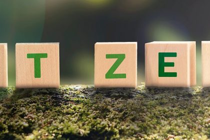 An action plan for net zero compatible with budget constraints