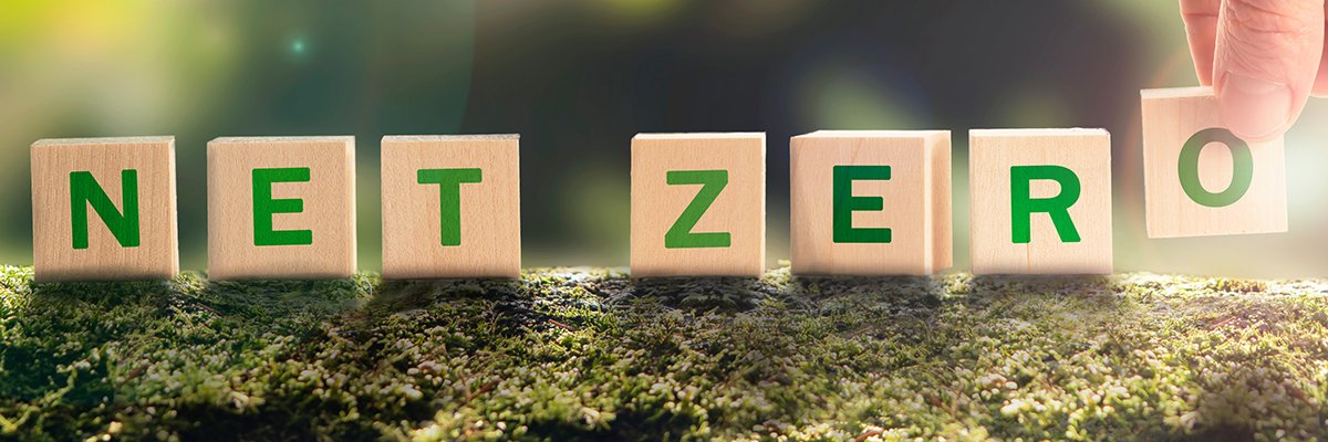 An action plan for net zero compatible with budget constraints