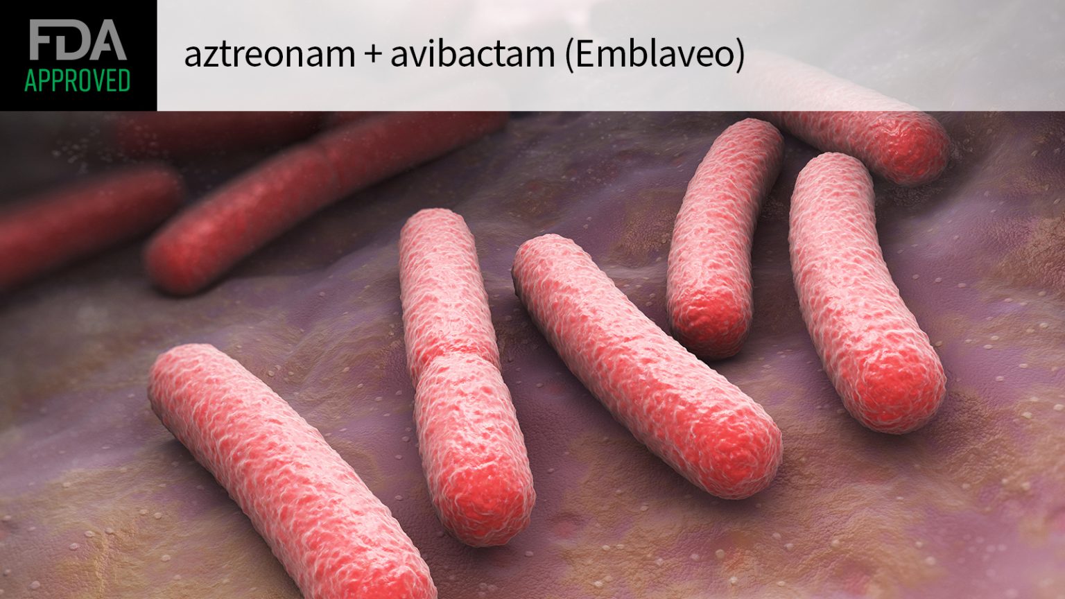 FDA OKs New Antibiotic Combo for Complicated Intra-Abdominal Infections