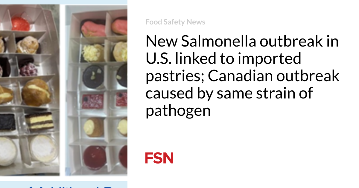 New Salmonella outbreak in U.S. linked to imported pastries; Canadian outbreak caused by same strain of pathogen