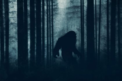 California goes ape with bill to crown Bigfoot official state cryptid