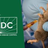 NCDC Confirms Lassa Fever Death Of Nigerian Doctor Returning From UK, 98 Deaths Reported