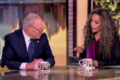 Sunny Hostin scolds Chuck Schumer that he ‘caved’ on shutdown fight