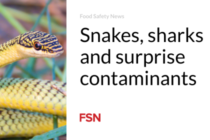 Snakes, sharks and surprise contaminants