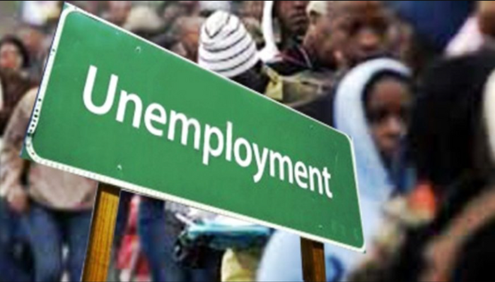 Rising unemployment in Nigeria undermines the nation’s UN Security Council bid – Experts warn 