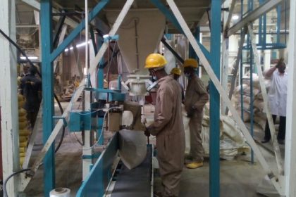 Livestock Feeds shares climb over 27% so far in March 2025, ascends to N9.50