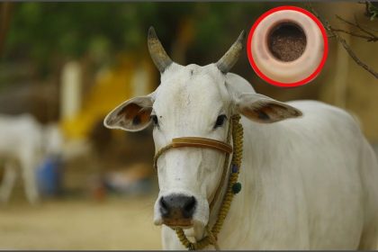 कभी संकट आने पर भी न बेचें ये 3 चीजें, जीवन भर रहेंगे परेशान