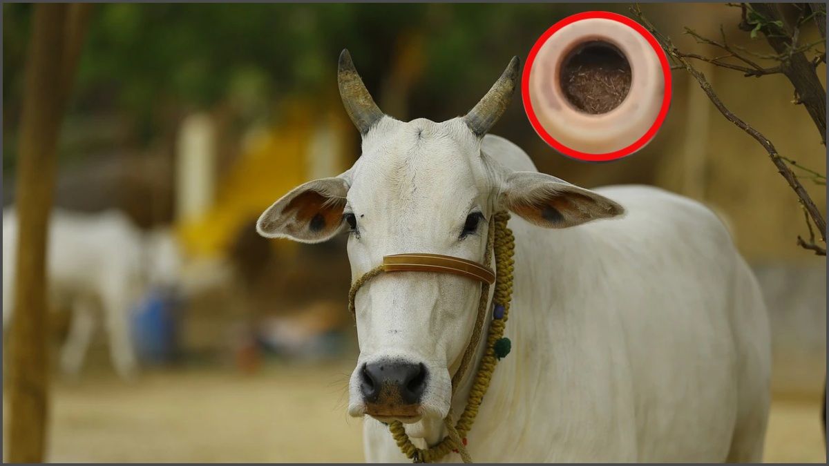 कभी संकट आने पर भी न बेचें ये 3 चीजें, जीवन भर रहेंगे परेशान