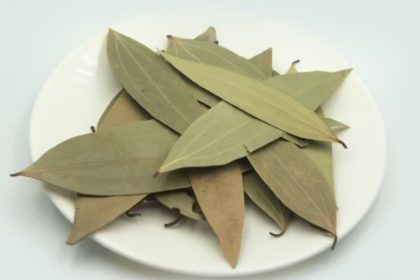 शुगर की काट है किचन में रखा ये सूखा पत्ता, रोज चबाने पर बीमारियां पास भी नहीं फटकेंगी