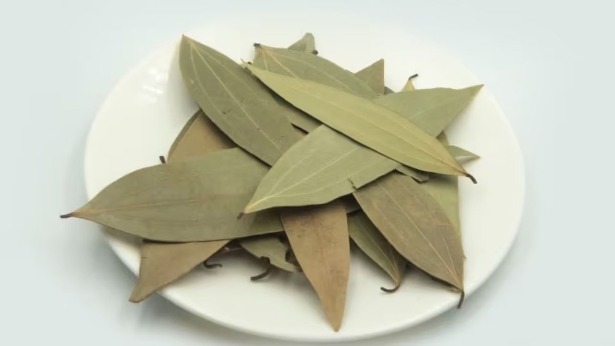 शुगर की काट है किचन में रखा ये सूखा पत्ता, रोज चबाने पर बीमारियां पास भी नहीं फटकेंगी