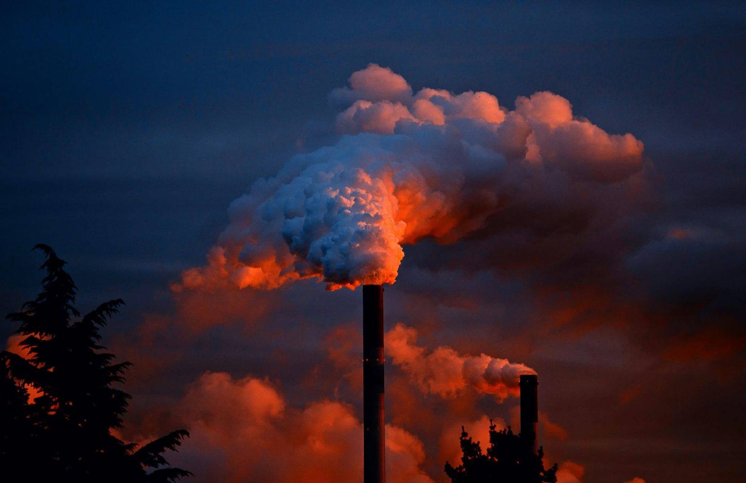 Just 36 companies account for 50% of global CO2 emissions, report reveals
