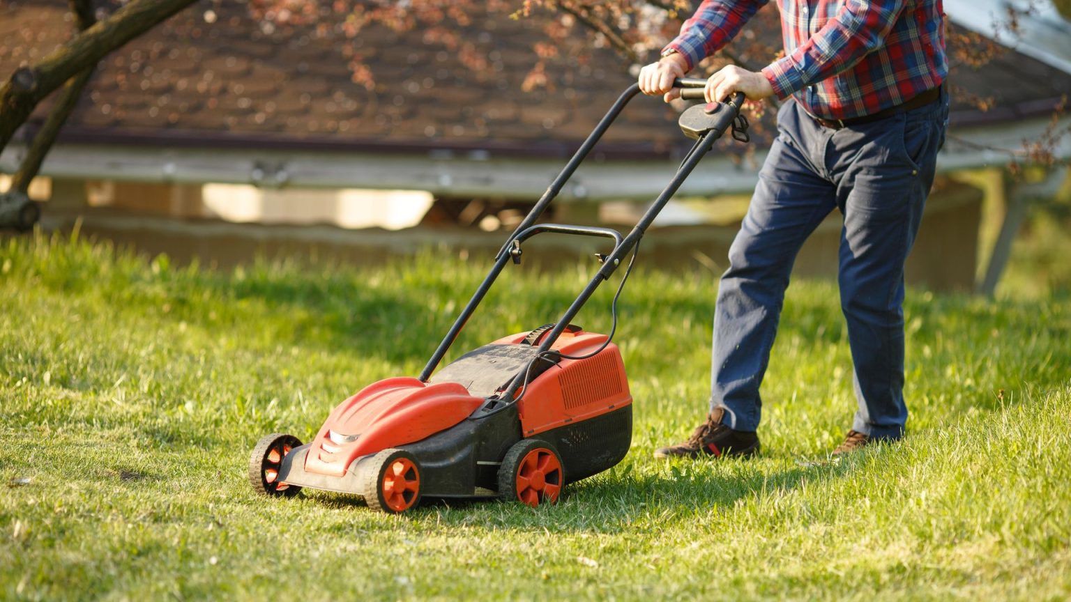 Why you should cut your lawn this Sunday